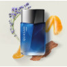 Quasar Vision 100ml